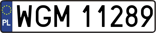 WGM11289