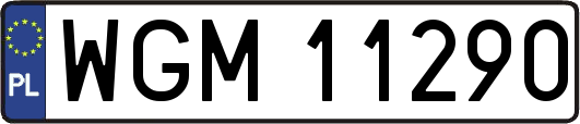WGM11290