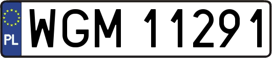 WGM11291