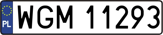 WGM11293