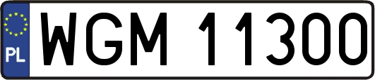 WGM11300