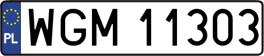 WGM11303