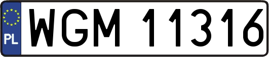 WGM11316