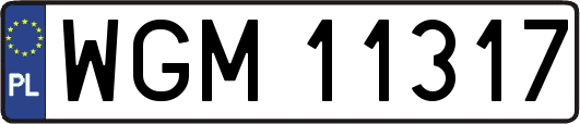 WGM11317