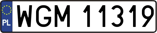 WGM11319