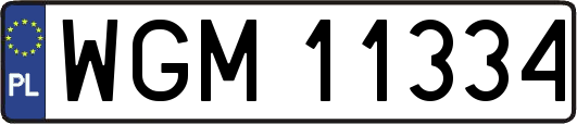 WGM11334