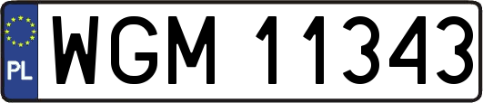 WGM11343