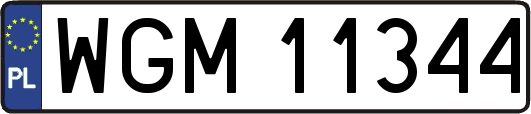 WGM11344