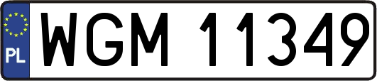 WGM11349