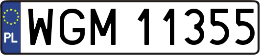 WGM11355