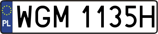 WGM1135H