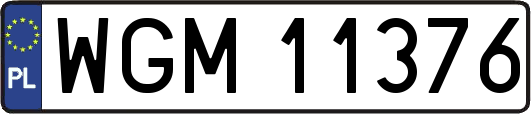 WGM11376