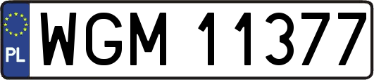 WGM11377
