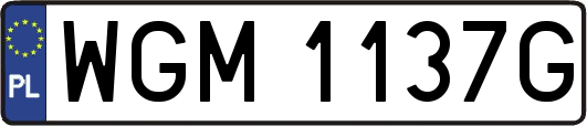 WGM1137G