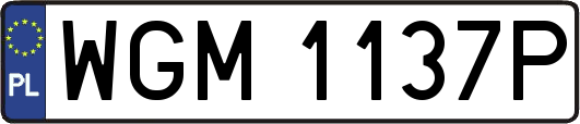 WGM1137P