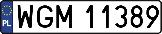 WGM11389