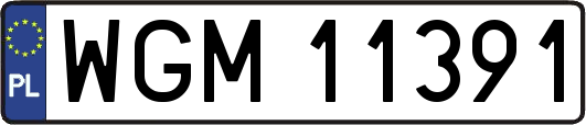 WGM11391