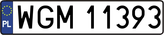 WGM11393