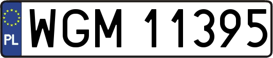 WGM11395