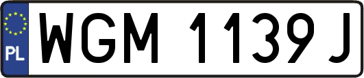 WGM1139J