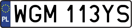 WGM113YS