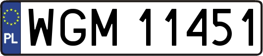 WGM11451