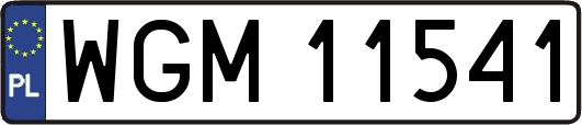 WGM11541