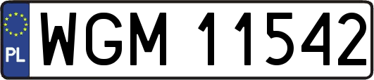 WGM11542