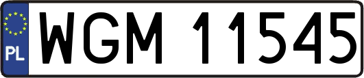 WGM11545
