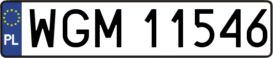 WGM11546