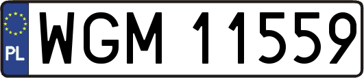 WGM11559