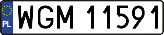 WGM11591