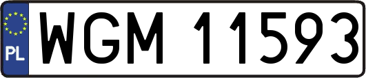 WGM11593