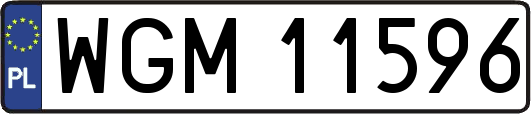 WGM11596