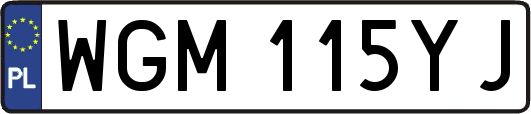 WGM115YJ
