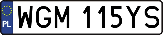 WGM115YS