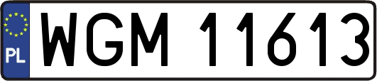 WGM11613