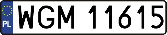 WGM11615