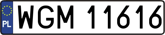 WGM11616
