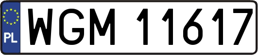WGM11617