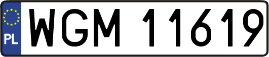 WGM11619
