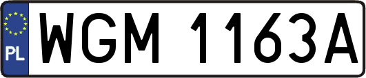 WGM1163A
