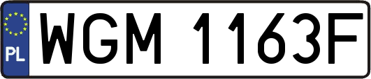 WGM1163F
