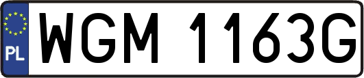 WGM1163G