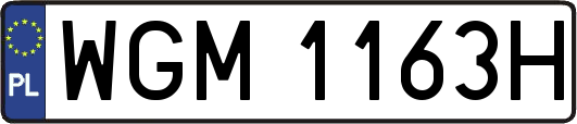 WGM1163H