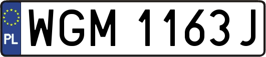 WGM1163J