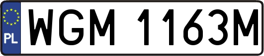 WGM1163M