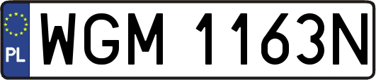 WGM1163N