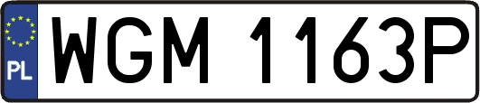 WGM1163P