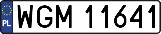WGM11641